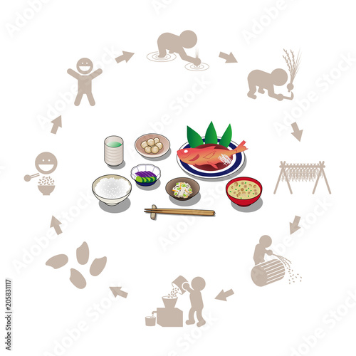 煮魚定食とお米の生産のイラスト