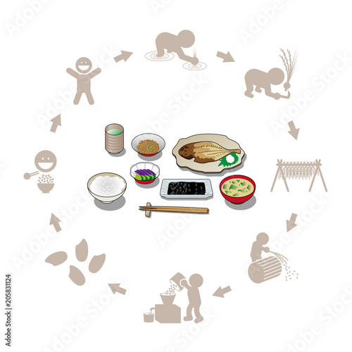 干物定食とお米の生産のイラスト