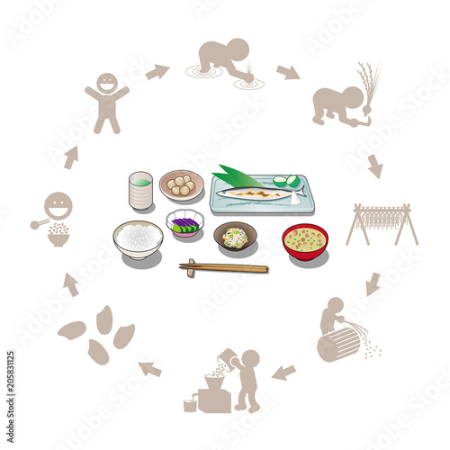 焼き魚定食とお米の生産のイラスト