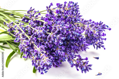Bunch of lavander isolated on white background.