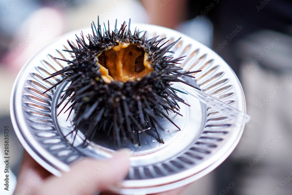 Sea urchin (fresh uni) Japanese fresh raw food in the shell at fish market Sea urchin (fresh uni) Japanese fresh raw food in the shell at fish market