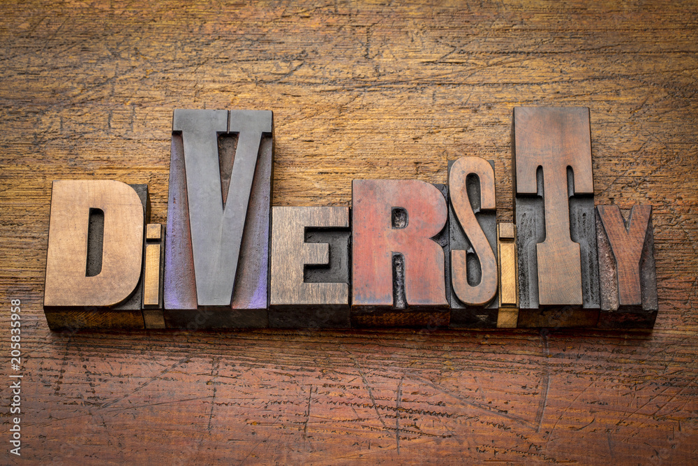 Fototapeta premium diversity - word abstract in wood type