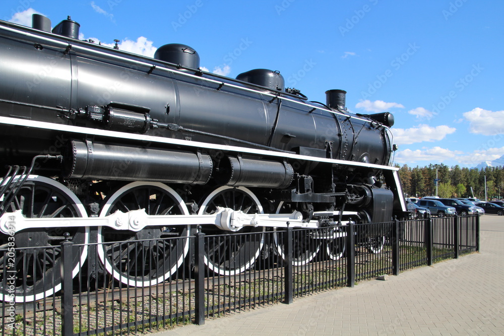 Naklejka premium The Iron Horse, Jasper National Park, Alberta