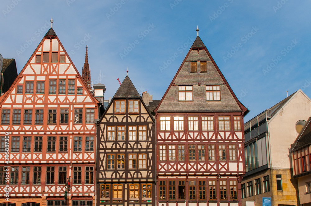 Fototapeta premium Traditional houses in Römer Square - Frankfurt