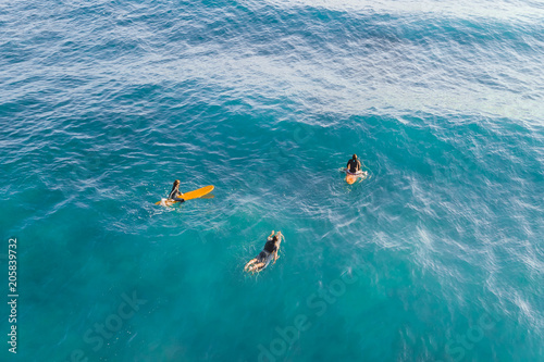 Three Surfers in the ocean, top view