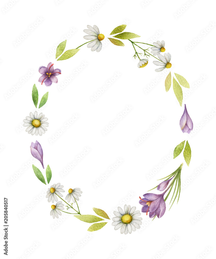 Watercolor vector wreath of chamomile flowers, saffron and green leaves on a white background.