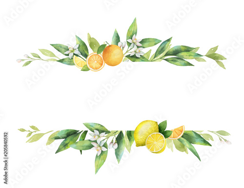 Watercolor vector banner of citrus fruits and leaves.