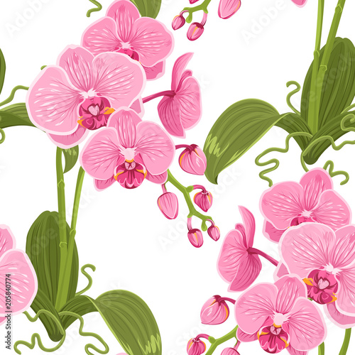 Fototapeta Naklejka Na Ścianę i Meble -  Pink purple phalaenopsis orchid flowers pattern