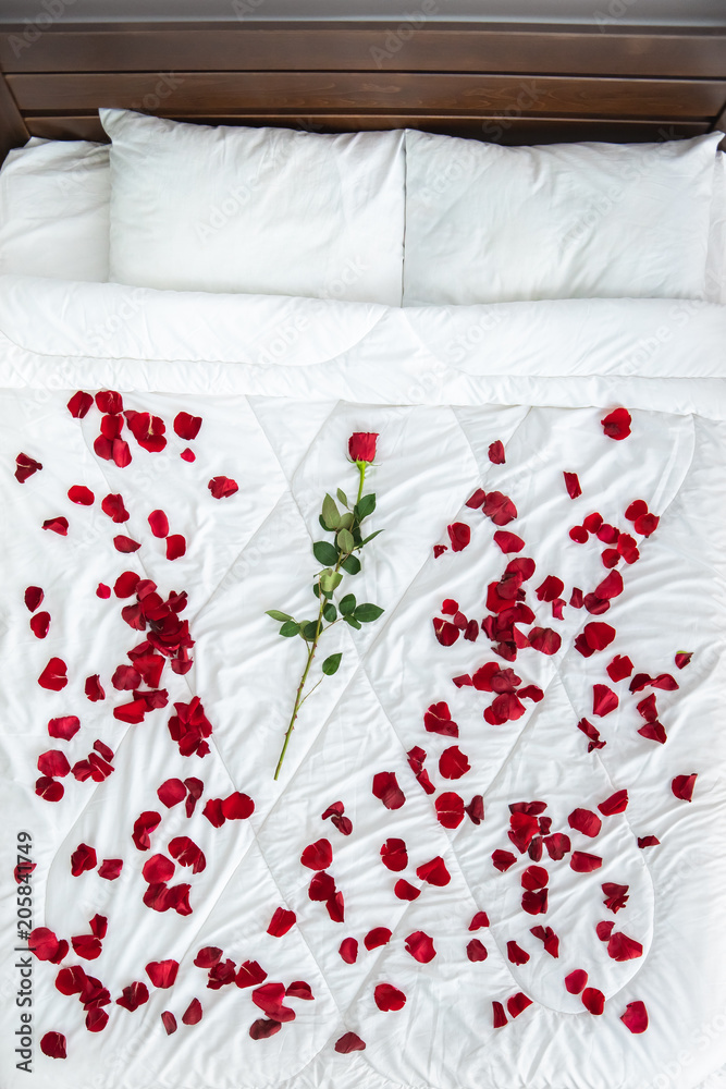 The bed with a rose petals. view from above Stock Photo | Adobe Stock