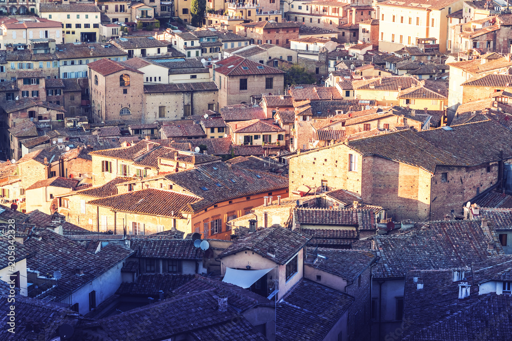 Roof tops of Siena, Tuscany, Italy