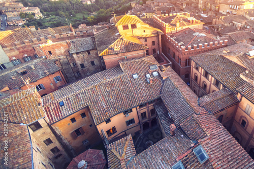 Roof tops of Siena, Tuscany, Italy