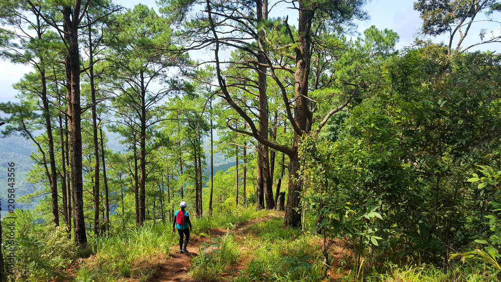 Young traveler woman with backpack hiking holiday, Wild adventure. Travel Lifestyle concept. Young traveler woman with backpack hiking holiday, Wild adventure. Travel Lifestyle concept.