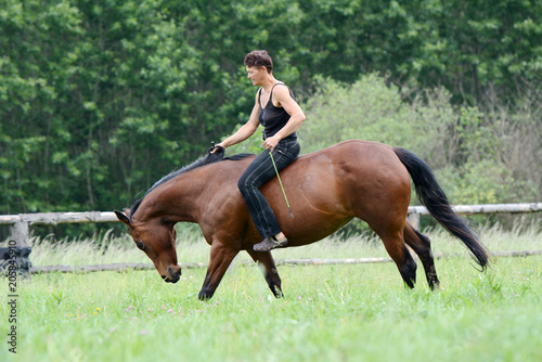 Young woman riding horse without saddle and bridle.