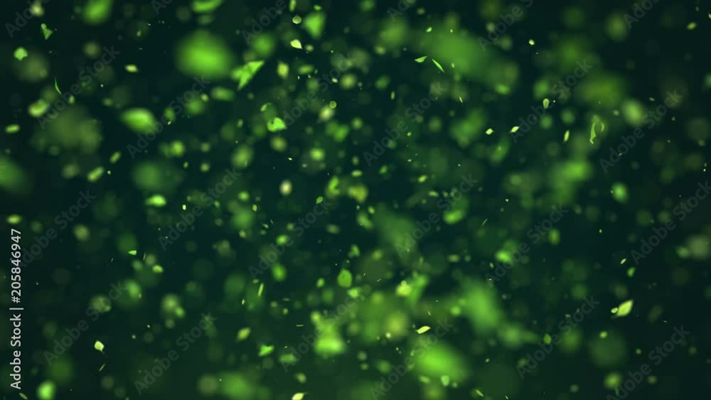 Exploding green tea leafs in 4K