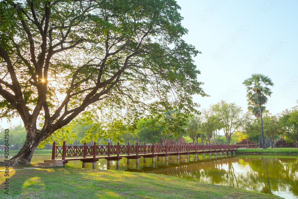 Naklejka premium Beautiful park in Thailand