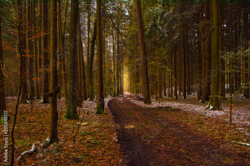 Wanderwege Hersbruck Bavaria Germany 