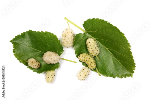 White mulberry fruit with leaves and isolated on white background, top view