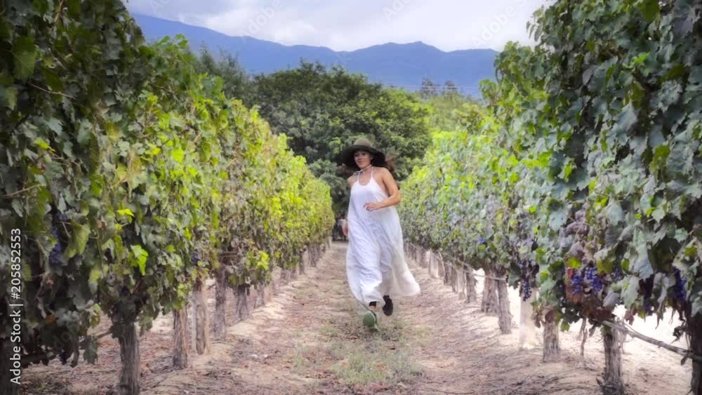Brunette woman running away from the vineyards wearing a bride dress, Slow motion Brunette woman running away from the vineyards wearing a bride dress, Slow motion