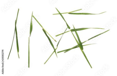Green cut wild grass isolated on white background and texture, top view © dule964