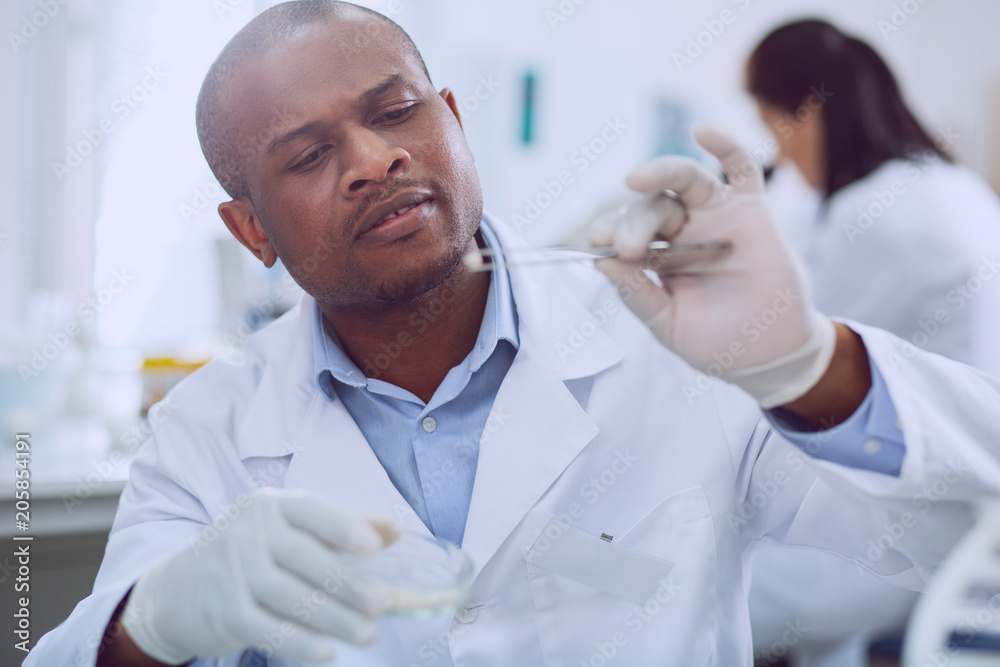 Great samples. Professional experienced biologist taking a test with seeds while working in the lab