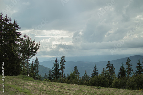 Spring landscape