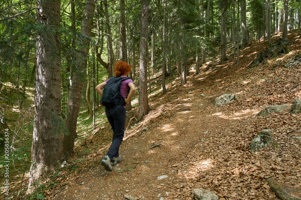 Woman hiking on a mountain trail