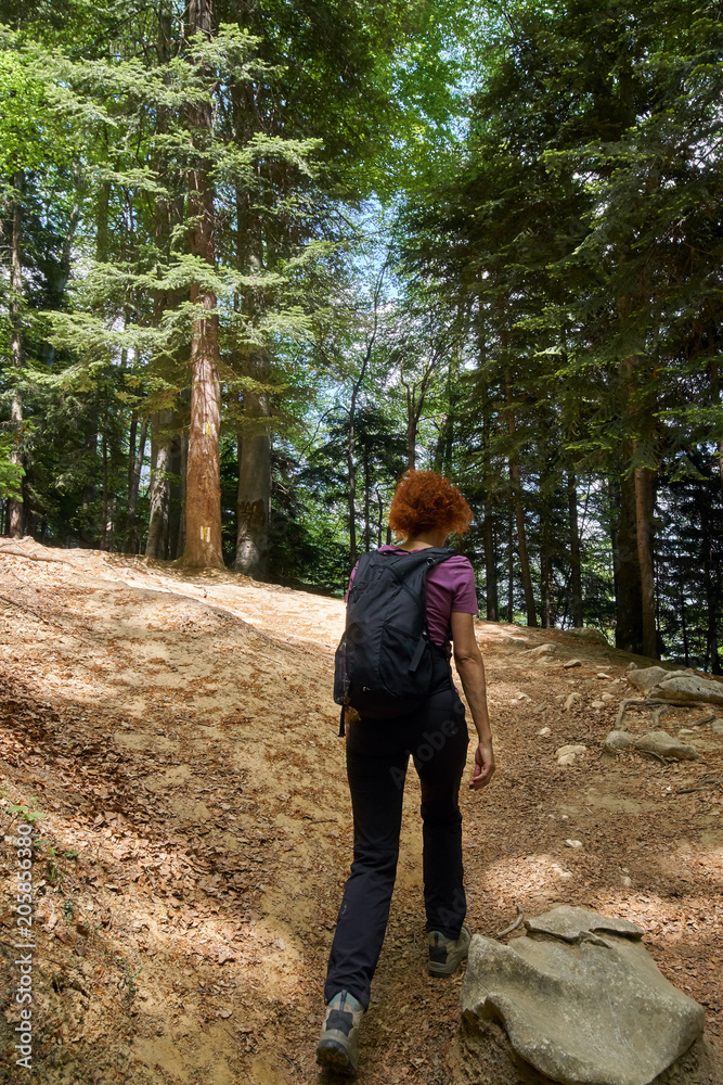 Woman hiking on a mountain trail Woman hiking on a mountain trail