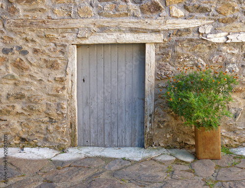vintage door on stone wall and a flower pot