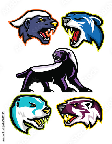Fototapet Mascot icon illustration set of fossorial carnivores like the honey badger or th