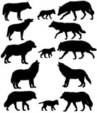 Collection of silhouettes of wolves and wolf-cubs