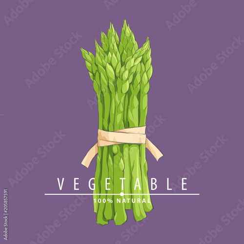 Hand drawn asparagus