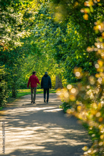 Two men waling along an alley with fresh spring leaves glowing in sinset light.