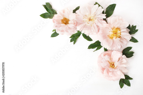 Feminine styled stock photo with pink peony flowers and leaves isolated on white background. Flat lay, top view. Floral pattern, cornercomposition.