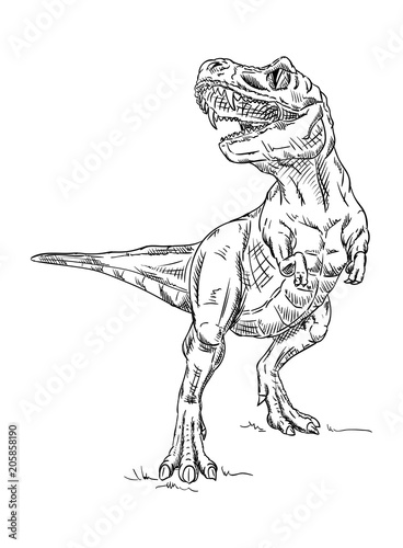 vector - dinosaur