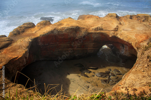 Oregon, USA: Devils Punch Bowl State Natural Area photo