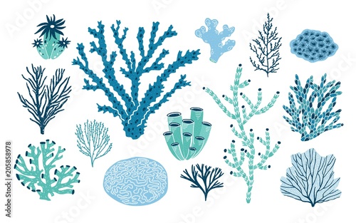 Bundle of various corals and seaweed or algae isolated on white background. Set of blue and green underwater species, marine creatures, sea or ocean flora and fauna. Flat colorful vector illustration.