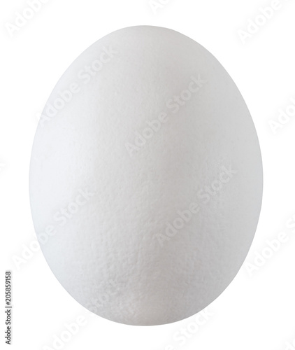 egg white one whole isolated on white background with clipping path