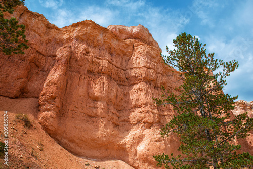 Majestic rock formation on Queens Garden trail at Bryce Canyon National Park, Utah, USA Seen from underneath with tree in foreground