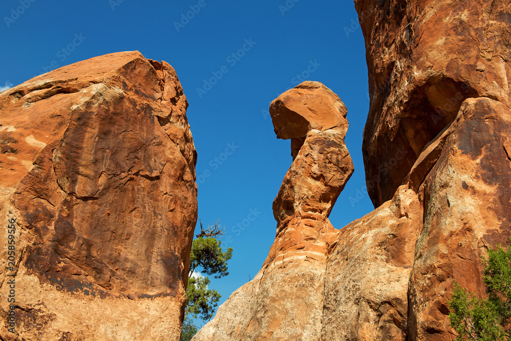 Arches National Park, Utah (USA): Remarkable rock sculpture