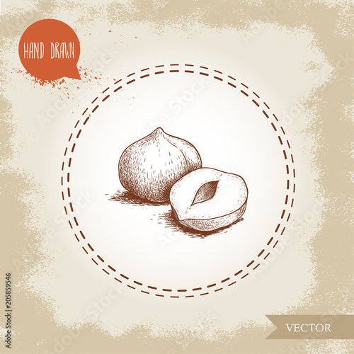 Hand drawn sketch style peeled hazelnut seeds composition. Eco healthy food vector illustration. Forest nut. Isolated on old background.