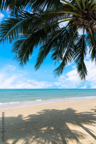 Beautiful tropical beach with coconut palm at summer time