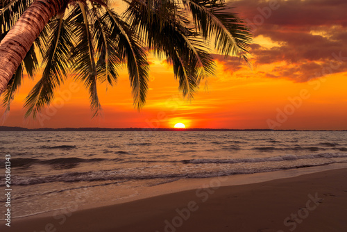 Beautiful sunset over the sea with coconut tree at summer time © bigy9950