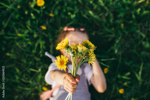 Fototapeta Naklejka Na Ścianę i Meble -  bouquet of spring dandelions
