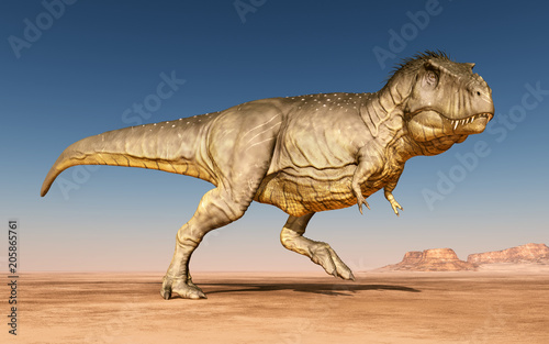 Tyrannosaurus Rex in der Wüste © Michael Rosskothen