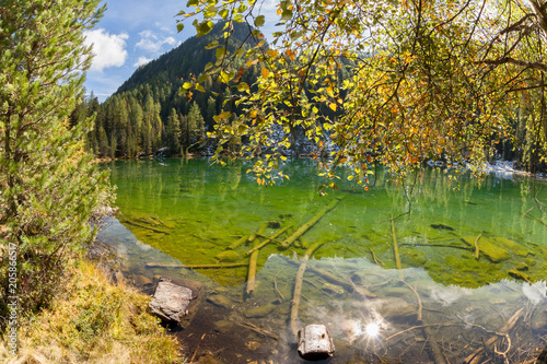 a natural hiden mountain lake among the woods in the Italian Apls
