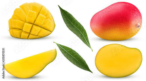 Collection mango exotic fruit, whole, cut in half, slice, cubes with leaf
