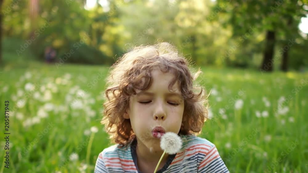 A cute schoolboy with curly hair is blowing a dandelion against the backdrop of a summer green glade. Dynamic video. Children Day A cute schoolboy with curly hair is blowing a dandelion against the backdrop of a summer green glade. Dynamic video. Children Day