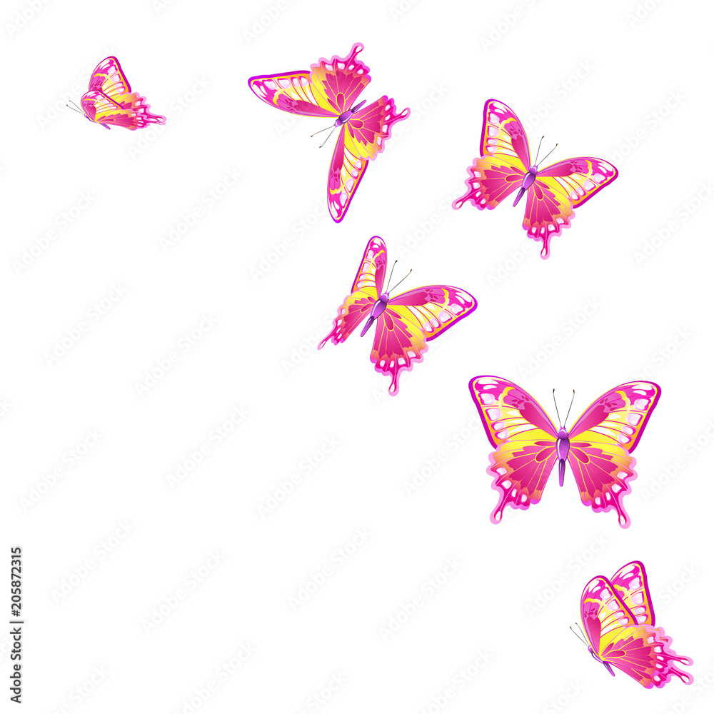 Naklejka piękne różowe motyle, odizolowane na białym