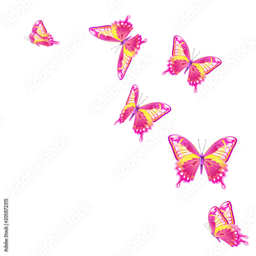 beautiful pink butterflies, isolated  on a white © aboard