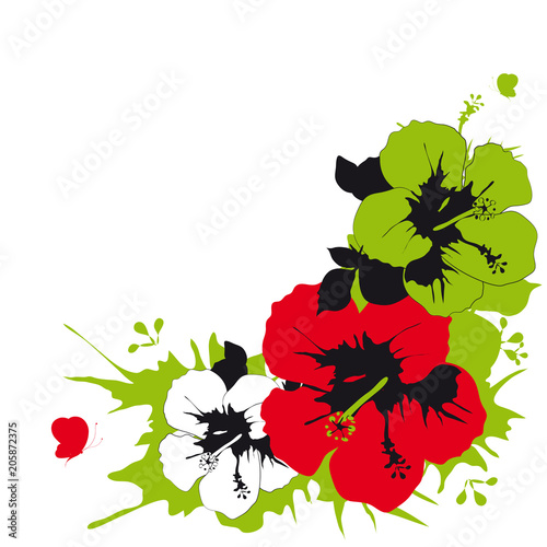 beautiful red flowers ,butterflies, on a white © aboard